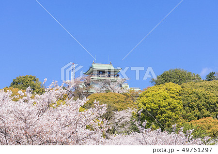 小牧山と小牧城と桜 遠景 小牧山と小牧城と桜 遠景 49761297
