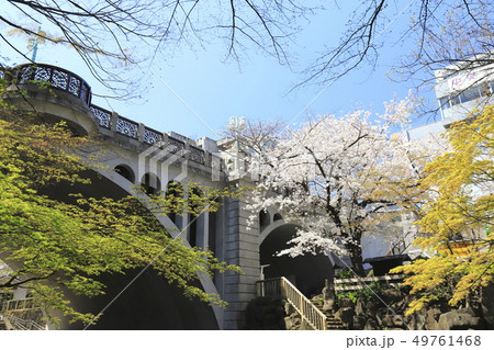 音無親水公園からみる音無橋(おとなしばし) 東京都北区 音無親水公園からみる音無橋(おとなしばし) 東京都北区 49761468