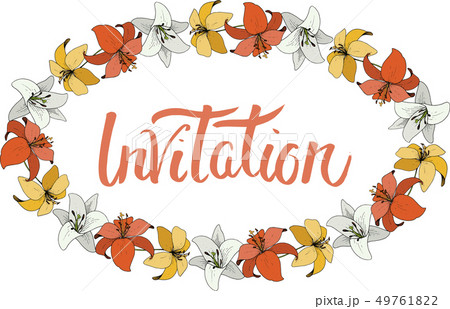 Vector Lily botanical flower. Wild spring leaf wildflower isolated. Engraved ink art. Frame border 49761822