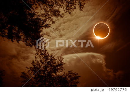 Scientific natural phenomenon. Total solar eclipse 49762776