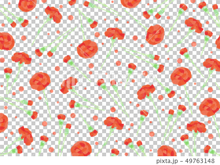 Carnation pattern with natural watercolor touch 49763148