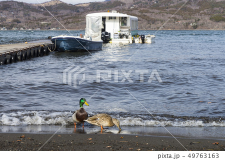 山中湖 パノラマ台 世界遺産 49763163
