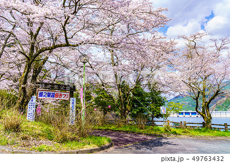 蜂ノ巣湖の桜　【⼤分県⽇⽥市中津江村】 49763432