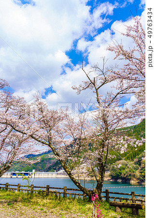 蜂ノ巣湖の桜　【⼤分県⽇⽥市中津江村】 49763434