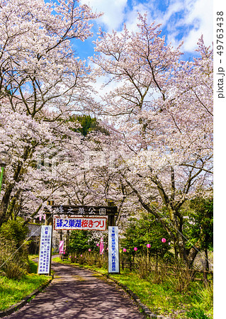 蜂ノ巣湖の桜　【⼤分県⽇⽥市中津江村】 49763438
