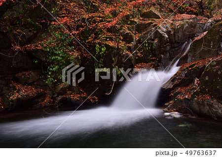 弁天の滝(岐阜県恵那市・井沢渓谷) 弁天の滝(岐阜県恵那市・井沢渓谷) 49763637