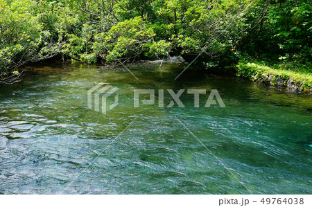 獅子ヶ鼻湿原 秋田県 獅子ヶ鼻湿原 秋田県 49764038