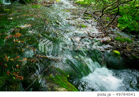 獅子ヶ鼻湿原　秋田県 49764041
