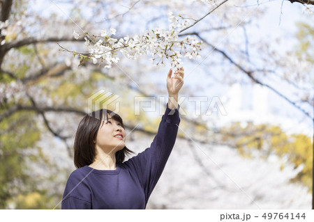 桜を鑑賞する女性 49764144
