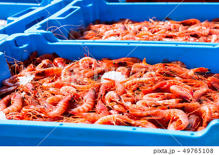 Blue plastic containers, catch of sea Royal shrimp 49765108
