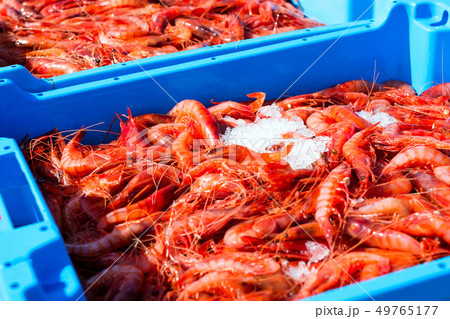 Blue plastic containers, catch of sea Royal shrimp 49765177