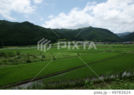 鳥取 四季の散歩 夏 豊乗寺 鳥取 四季の散歩 夏 豊乗寺 49765624