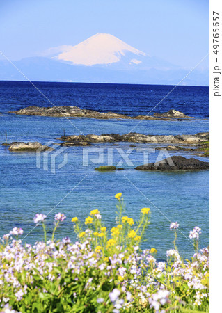 荒崎（春） 49765657