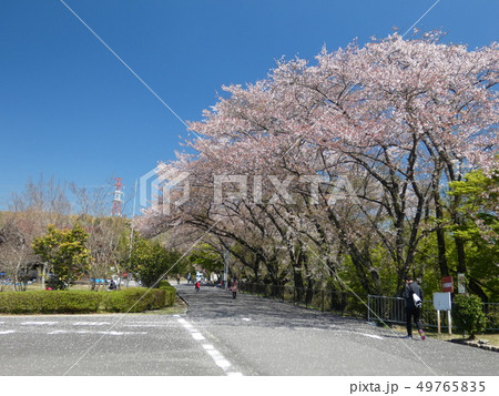伊坂ダム 三重県 四日市市 伊坂ダム 三重県 四日市市 49765835