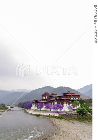 プナツァン川とプナカゾン 49766108