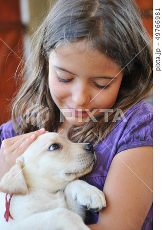 puppy labrador retriever and little girl puppy labrador retriever and little girl 49766981