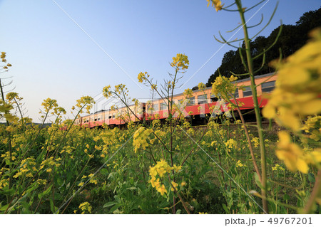 小湊鉄道 小湊鉄道 49767201