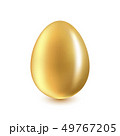 Golden Egg on a white background 49767205