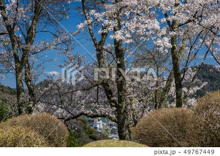 城崎温泉　温泉寺からの景色 49767449