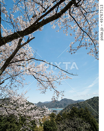 城崎温泉　温泉寺からの景色 49767513