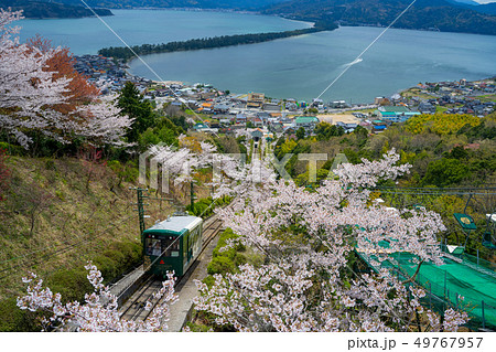 日本三景の天橋立 桜が満開の丹後半島天橋立 49767957