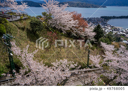 日本三景の天橋立 桜が満開の丹後半島天橋立 日本三景の天橋立 桜が満開の丹後半島天橋立 49768005