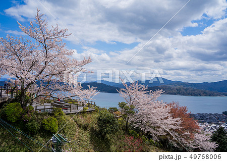 日本三景の天橋立 桜が満開の丹後半島天橋立 日本三景の天橋立 桜が満開の丹後半島天橋立 49768006