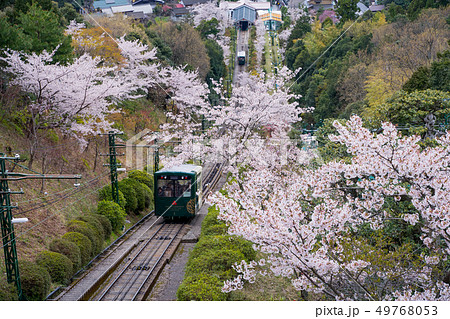 日本三景の天橋立 桜が満開の丹後半島天橋立 日本三景の天橋立 桜が満開の丹後半島天橋立 49768053