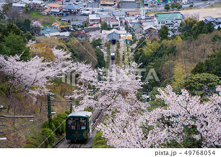 日本三景の天橋立 桜が満開の丹後半島天橋立 日本三景の天橋立 桜が満開の丹後半島天橋立 49768054