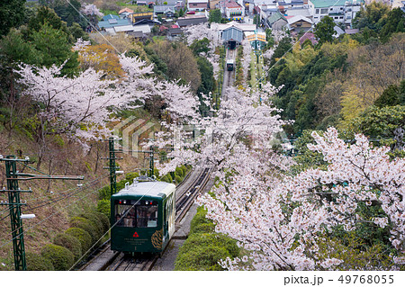 日本三景の天橋立 桜が満開の丹後半島天橋立 日本三景の天橋立 桜が満開の丹後半島天橋立 49768055