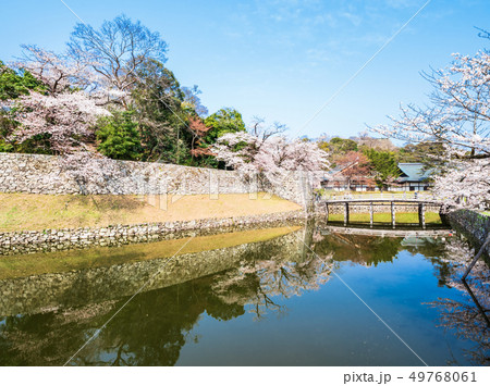 彦根城　内堀と表門橋 49768061