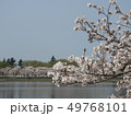 桜と伊佐沼 49768101