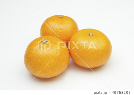 せとか せとか 49768202