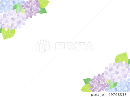 あじさい 背景1のイラスト素材