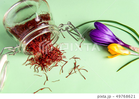 Saffron spice tea crop and flower 49768621