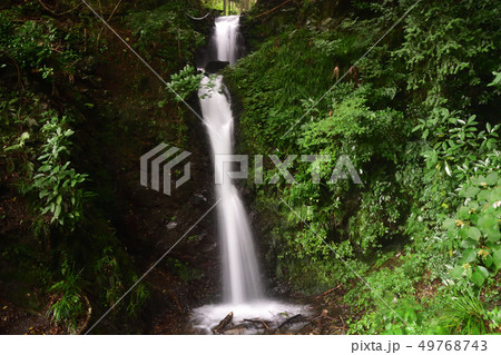 観音滝(静岡県浜松市天竜区) 観音滝(静岡県浜松市天竜区) 49768743