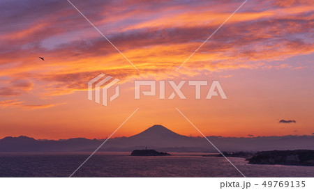 富士山と江の島の夕日コラボレーション(湘南 大崎公園) 富士山と江の島の夕日コラボレーション(湘南 大崎公園) 49769135