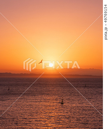 富士山と江の島の夕日コラボレーション（湘南　大崎公園） 49769154
