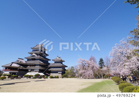 信州 松本の春 桜に囲まれる国宝松本城 現存12天守のひとつ 松本観光の中心(2019年春) 信州 松本の春 桜に囲まれる国宝松本城 現存12天守のひとつ 松本観光の中心(2019年春) 49769224