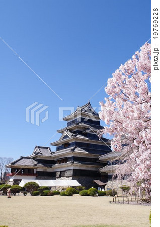 信州 松本の春 桜に囲まれる国宝松本城 現存12天守のひとつ 松本観光の中心(2019年春) 信州 松本の春 桜に囲まれる国宝松本城 現存12天守のひとつ 松本観光の中心(2019年春) 49769228