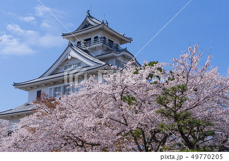 豊公園の桜 49770205