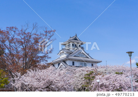 豊公園の桜 49770213
