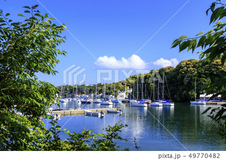 小網代(初夏) 小網代(初夏) 49770482