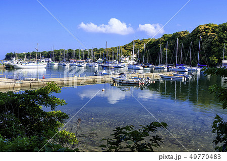 小網代(初夏) 小網代(初夏) 49770483