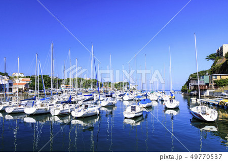 諸磯湾（初夏） 49770537