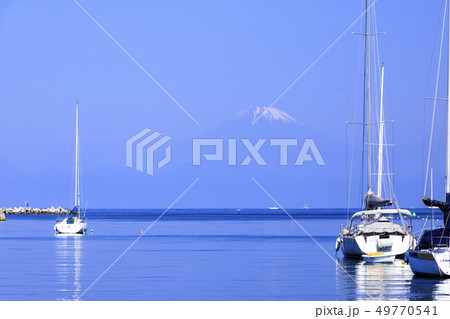 諸磯湾(初夏) 諸磯湾(初夏) 49770541