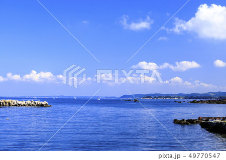 諸磯湾(初夏) 諸磯湾(初夏) 49770547