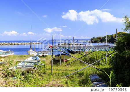 諸磯湾（初夏） 49770548