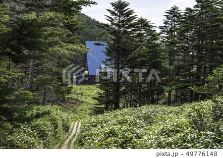 北八ヶ岳の森 北八ヶ岳の森 49776148
