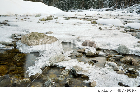 Shallow forest river covered with crystal snow and ice layer in winter, white patches over stones 49779097